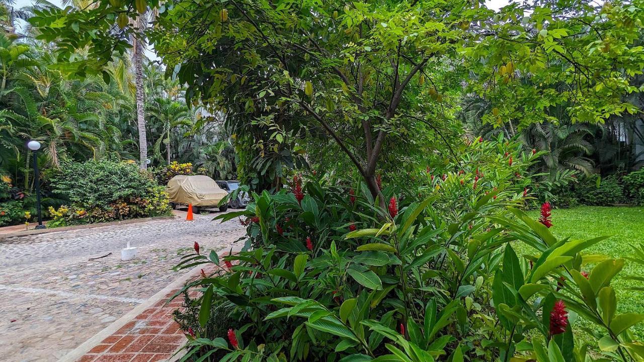 Marbella Puerto Vallarta Exterior foto